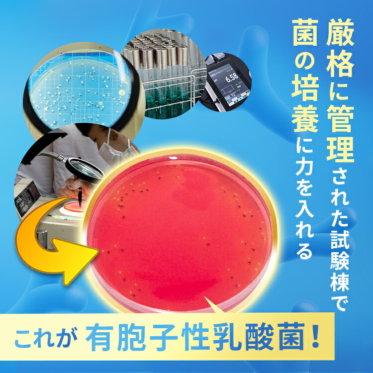 楽天市場】【公式】ラクトロン錠 3袋セット 指定医薬部外品 サプリ