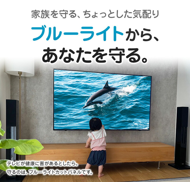 楽天市場】ブルーライトカット 液晶テレビ保護パネル 65インチ 65型