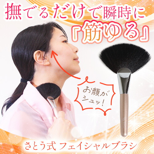 楽天市場】さとう式 フェイシャルブラシ : トータルヘルスデザイン