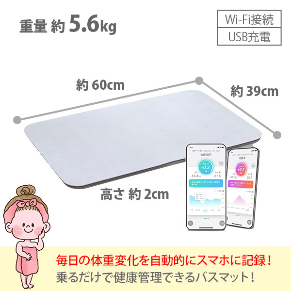 楽天市場】issin イッシン スマートバスマット【ソフト珪藻土マット