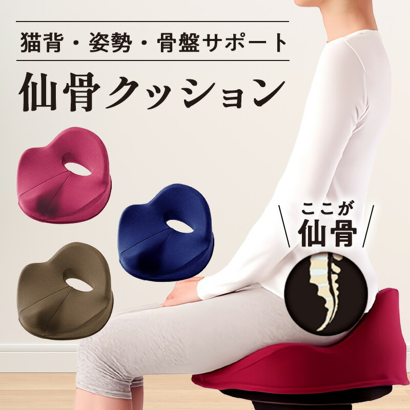 楽天市場】猫背矯正 【仙骨クッション 仙律 アルファックス】 骨盤矯正