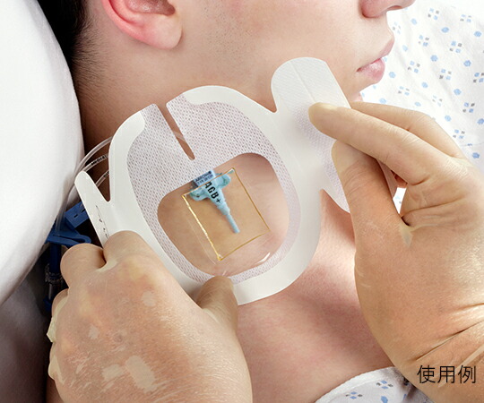 楽天市場】ﾃｶﾞﾀﾞｰﾑ(TM) CHGﾄﾞﾚｯｼﾝｸﾞ 8.5cm×11.5cm 1657R 1箱(25枚入