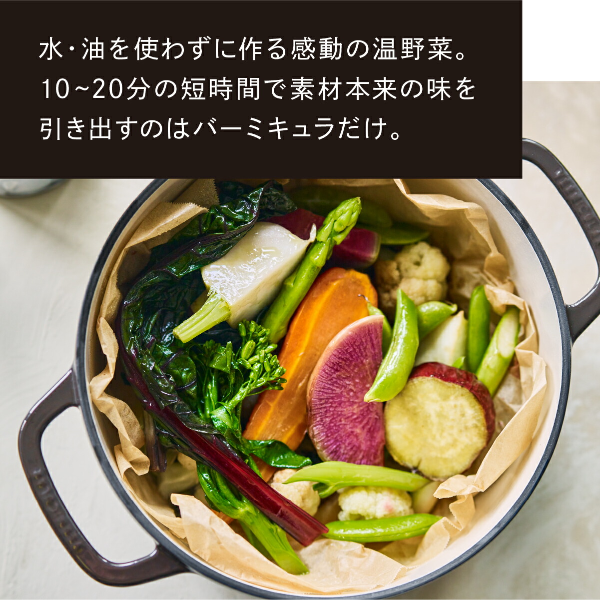 楽天市場】【公式】バーミキュラ オーブンポット2 26cm 浅型 マット