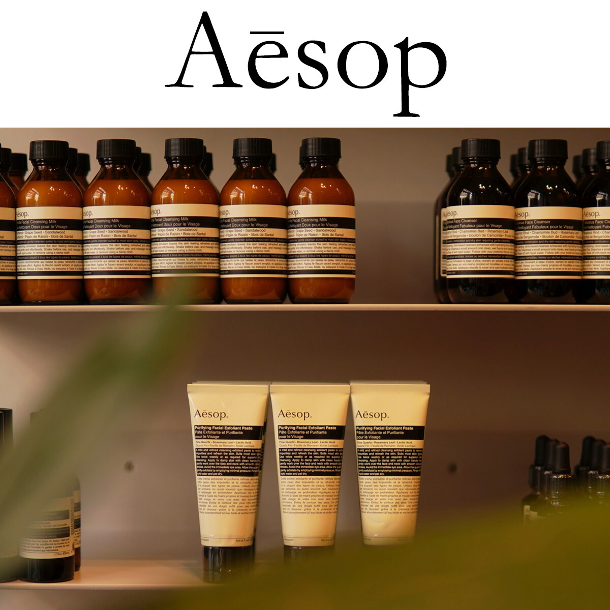 楽天市場】Aesop イソップ アンドラム エクスペリエント ハンドジェル