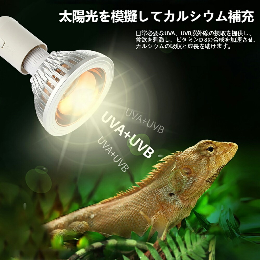 楽天市場】爬虫類 ライト 紫外線 爬虫類 バスキングライト 亀 ライト