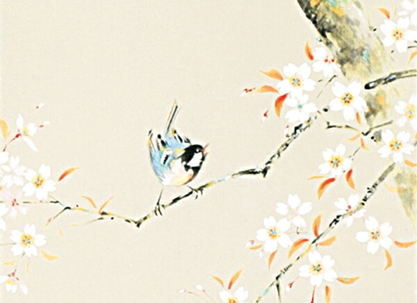 楽天市場】掛け軸 掛軸（かけじく）桜に小禽（佐藤 桂三）全国送料無料