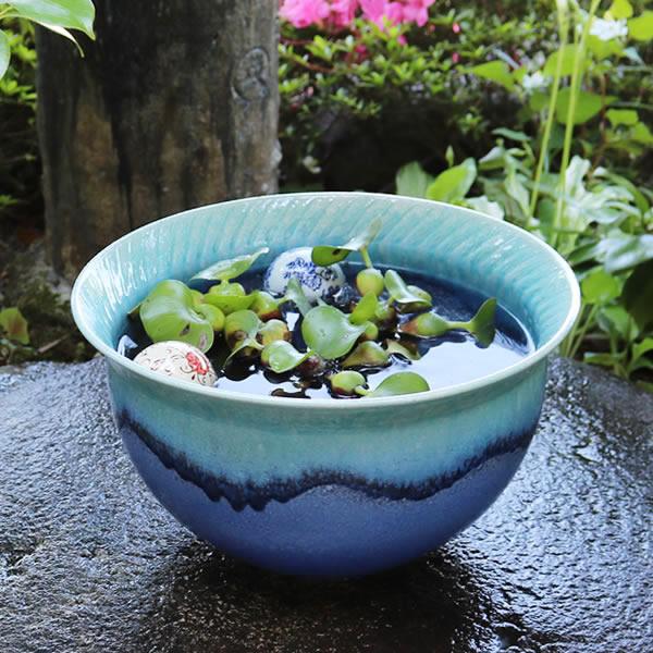 楽天市場】すいれん鉢 信楽焼すいれん鉢 メダカ鉢 金魚鉢 睡蓮鉢 陶器