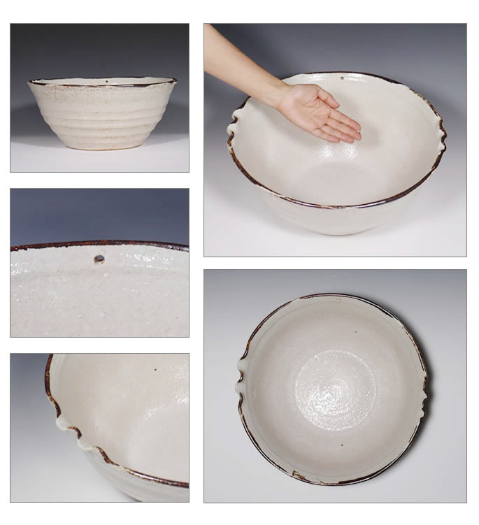 楽天市場】【38時間限定20%OFFクーポン配布中】メダカ鉢