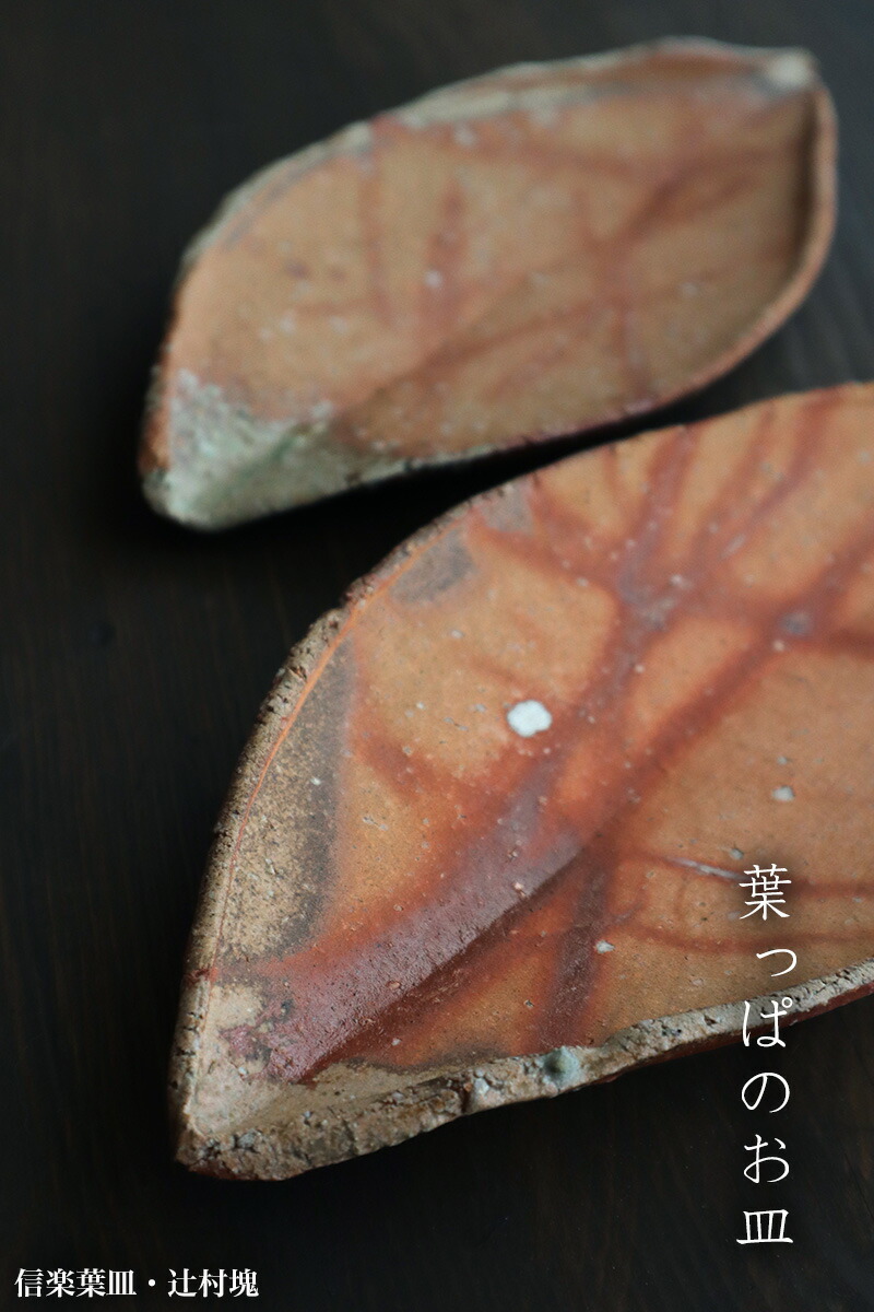 楽天市場】信楽焼：信楽葉皿・辻村塊《中皿・31.0cm》 : 和食器の愉し