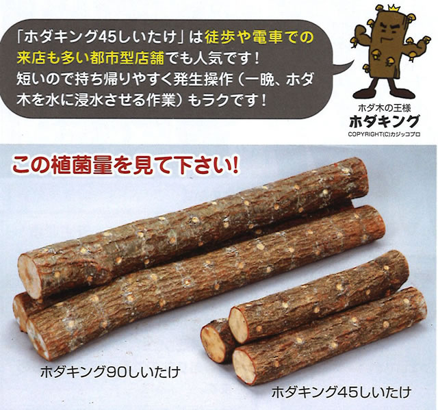 楽天市場】完熟ホダ木 ホダキング 90cm 4本セット【シイタケ栽培