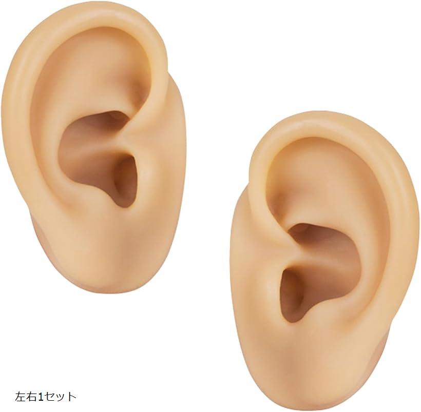 楽天市場】【楽天ランキング1位入賞】シリコン 耳模型 左右セット 耳