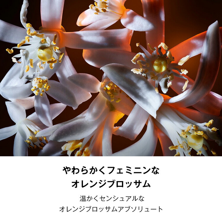 楽天市場】【公式/NEW】リブレ オーデパルファム フローラル / 香水