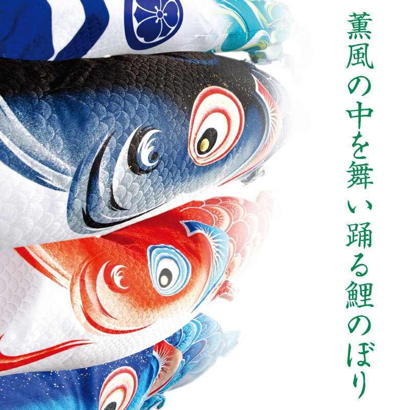楽天市場】こいのぼり 徳永鯉 鯉のぼり 単品 3m 風舞い 薫風の舞い鯉