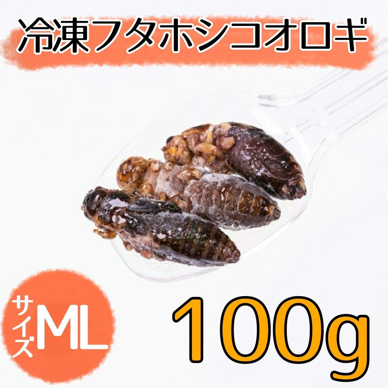NEW【冷凍餌】フタホシコオロギ ML 100g | 月夜野ファームの通販