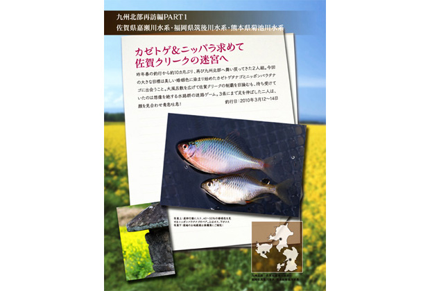 日本タナゴ釣り紀行