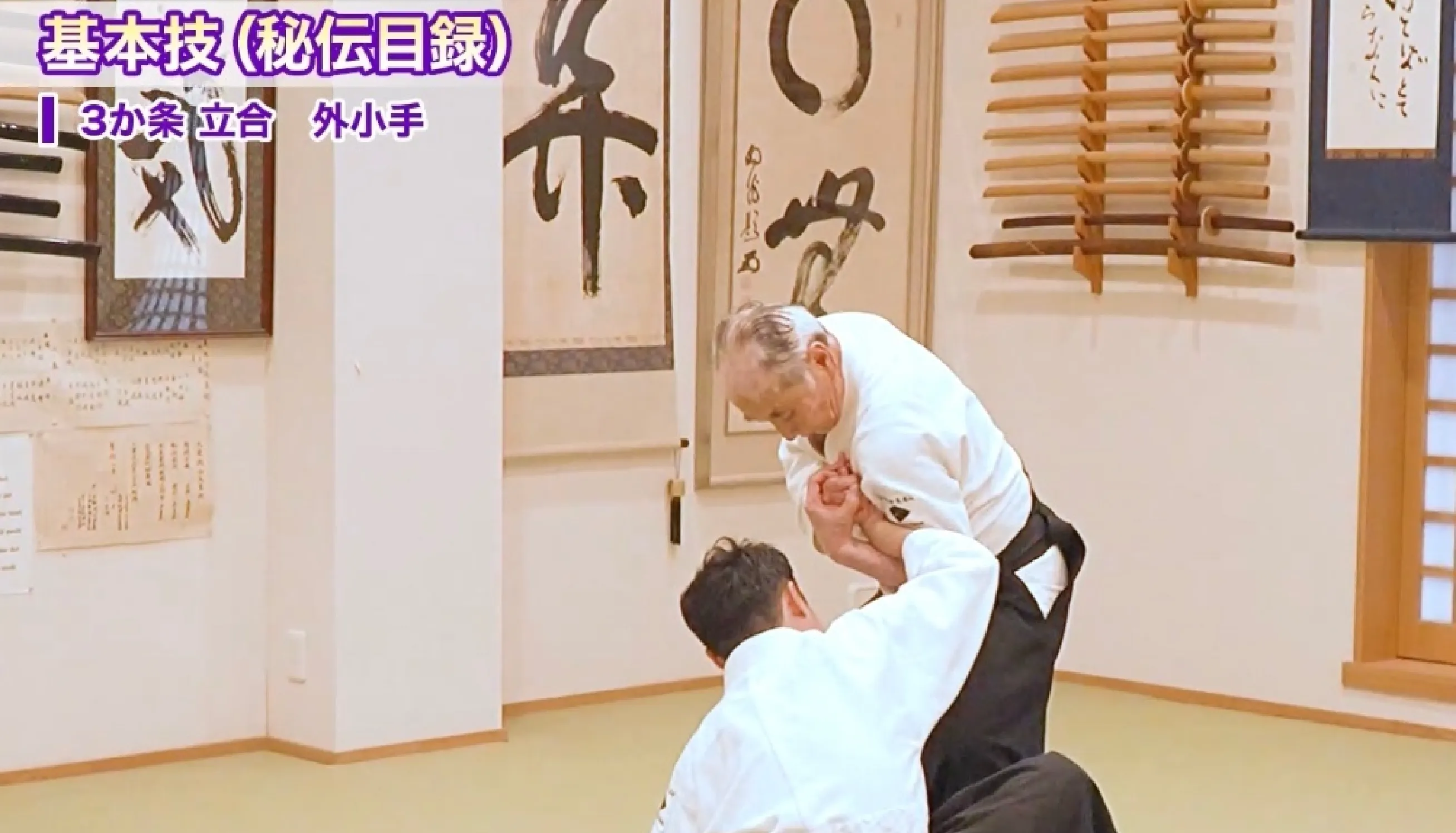 あなたの技が激変し、相手を無力化させる合気の指南書。正伝・大東流合