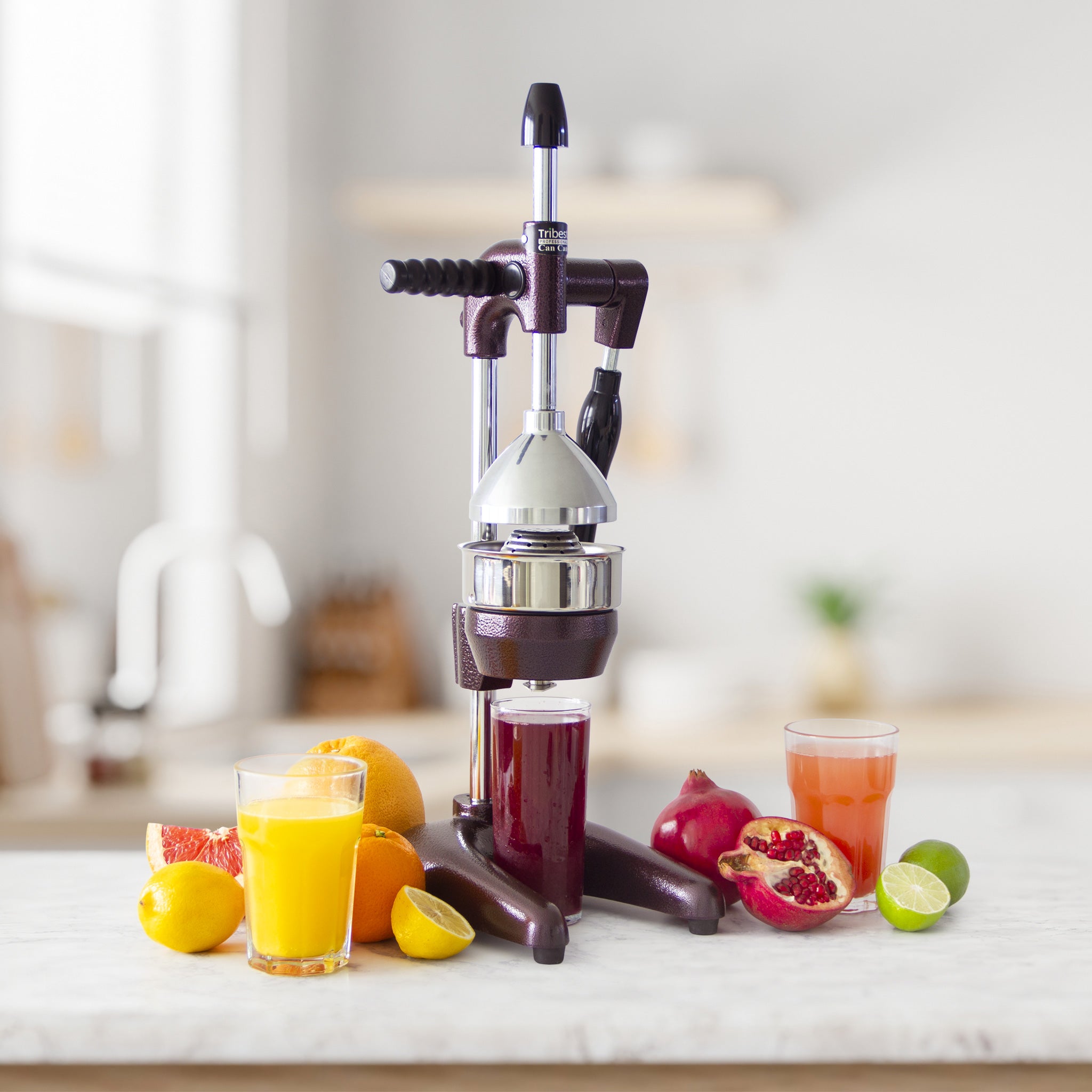 Refurbished XL Manual Juice Press for Pomegranate and Citrus