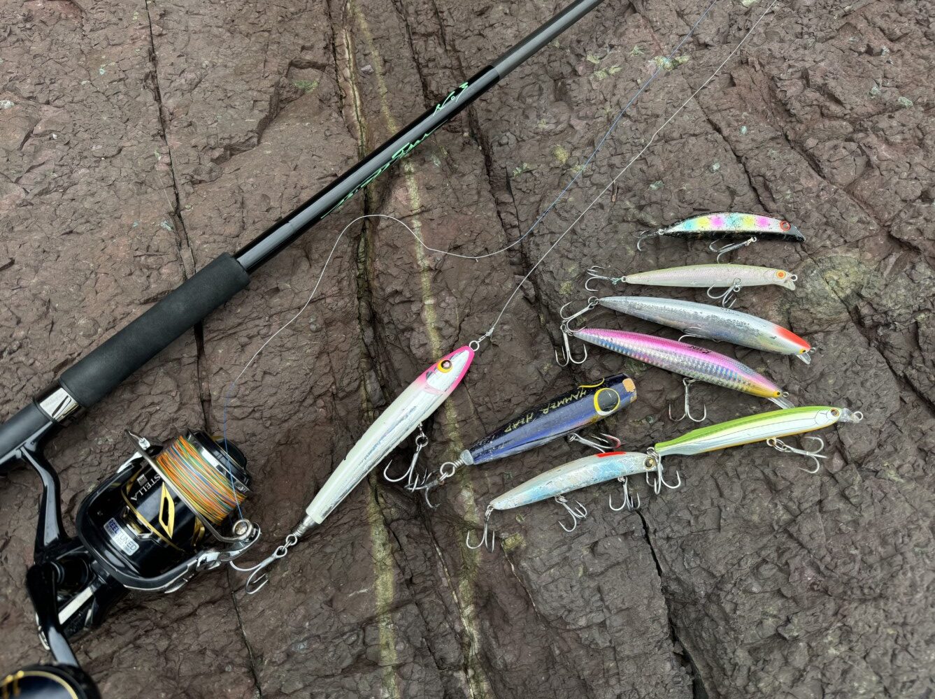 24.5㎏ クエ（ アラ ） 鹿児島県 甑島 ロックショアゲーム2024秋-3