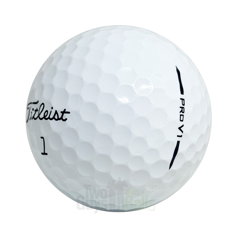 Used Titleist Pro V1 2025 Golf Balls | Two Guys with Balls