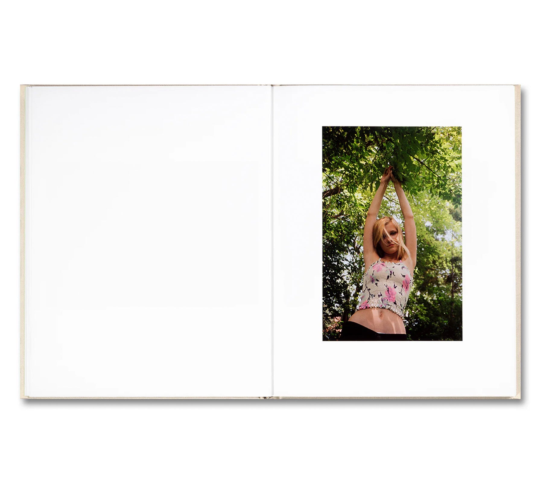 THE VIRGIN SUICIDES by Sofia Coppola – twelvebooks