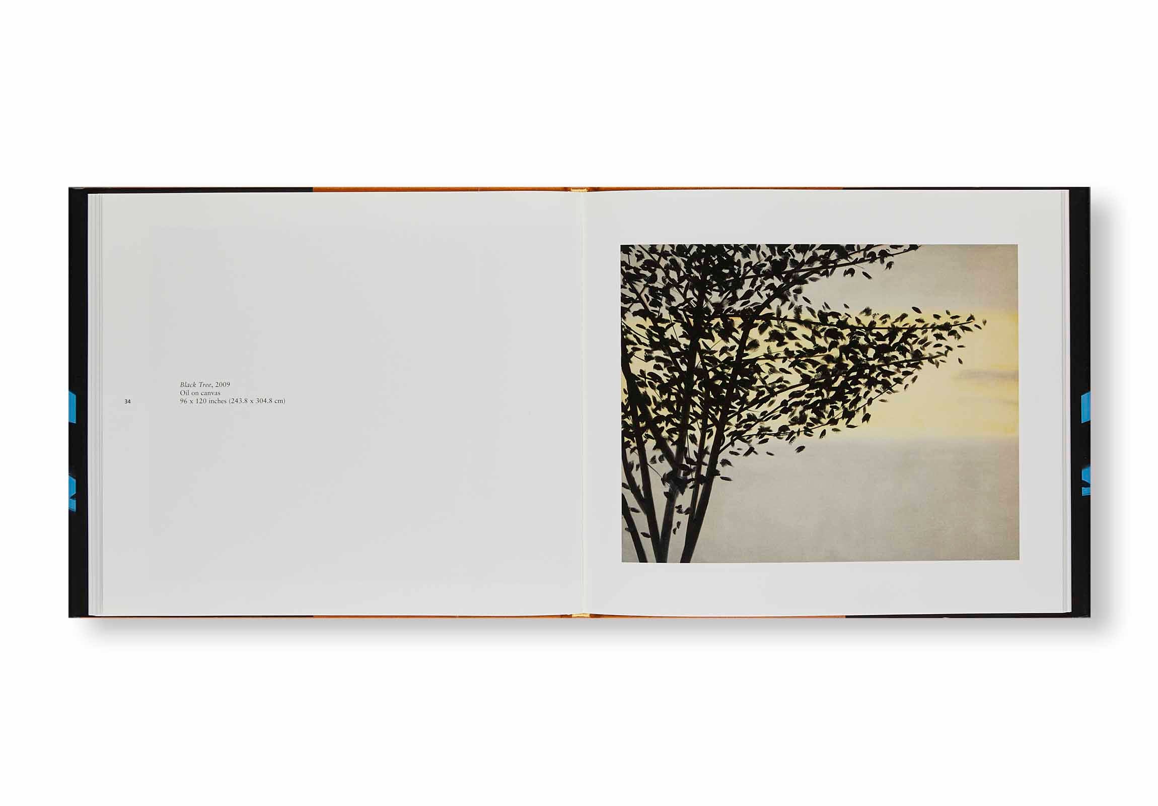 VIRTUAL REALITY by Alex Katz – twelvebooks