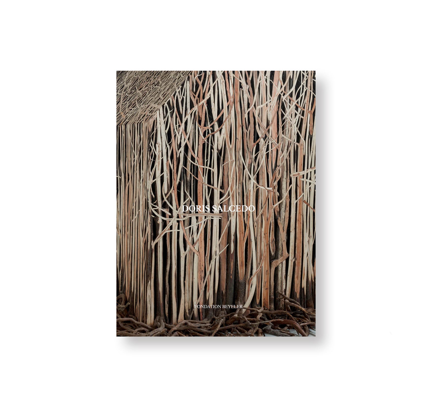 DORIS SALCEDO by Doris Salcedo – twelvebooks