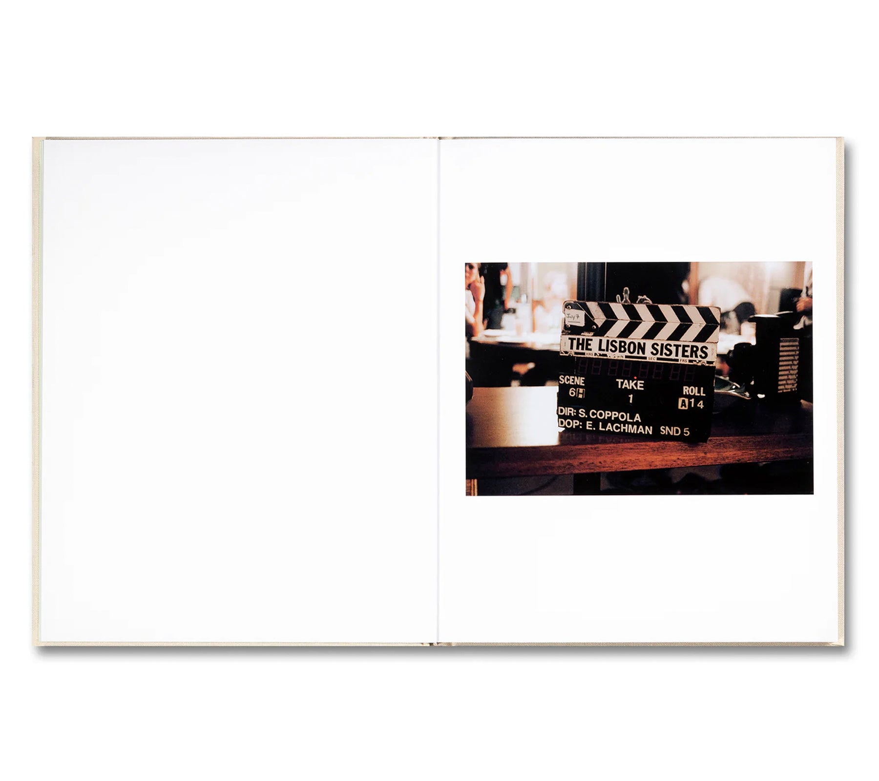 THE VIRGIN SUICIDES by Sofia Coppola – twelvebooks