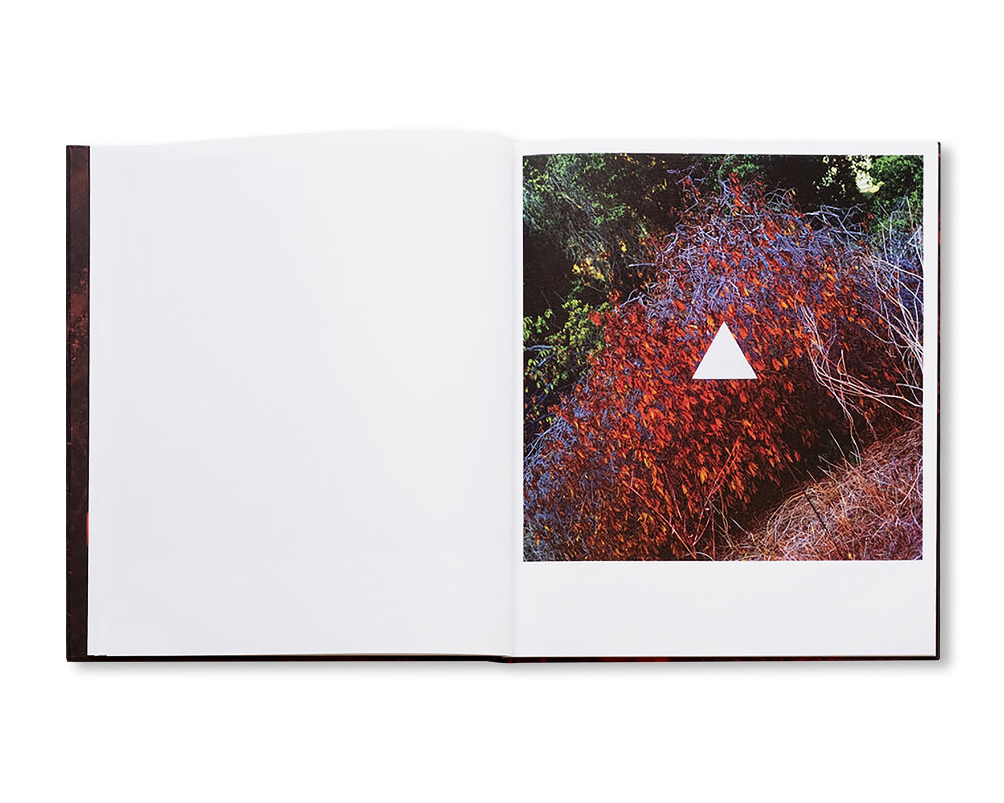 CHROMA by John Divola – twelvebooks