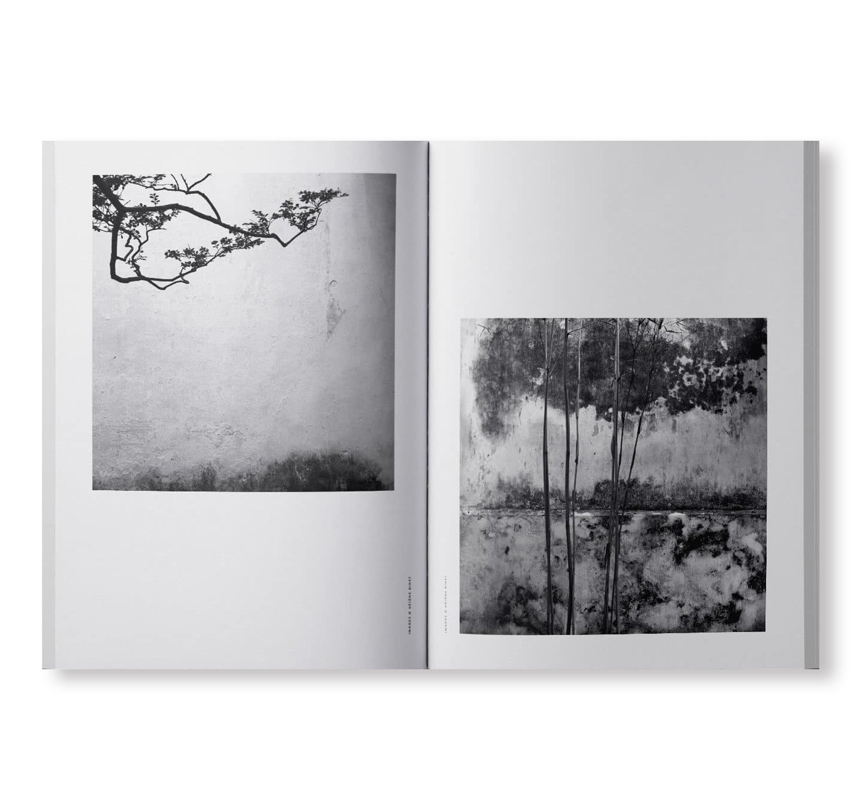 ARK JOURNAL VOLUME V SPRING/SUMMER 2021 – twelvebooks