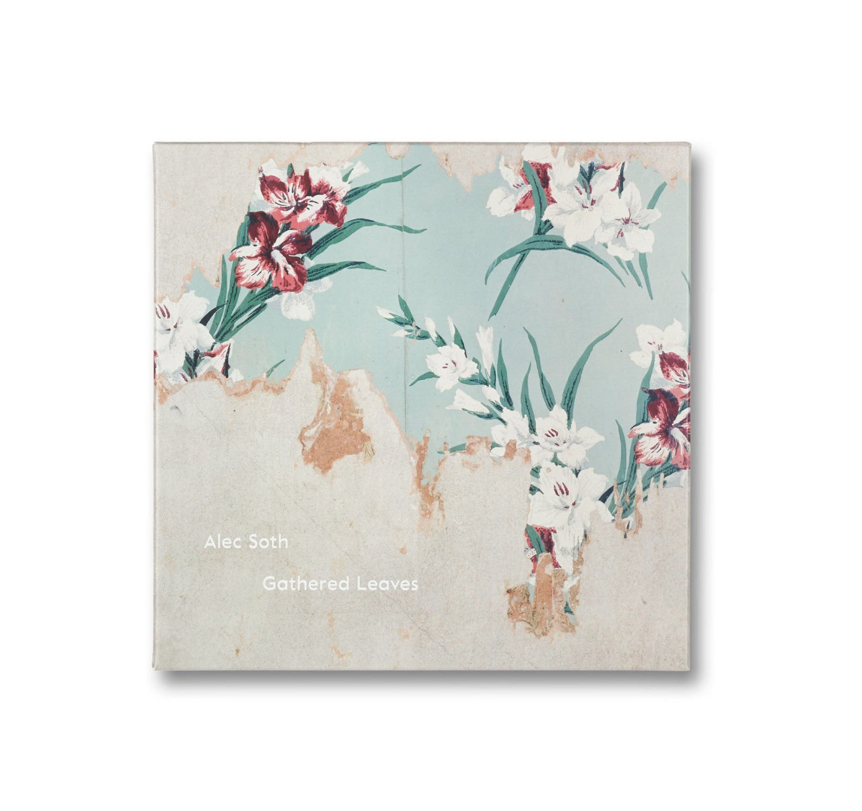 GATHERED LEAVES by Alec Soth – twelvebooks