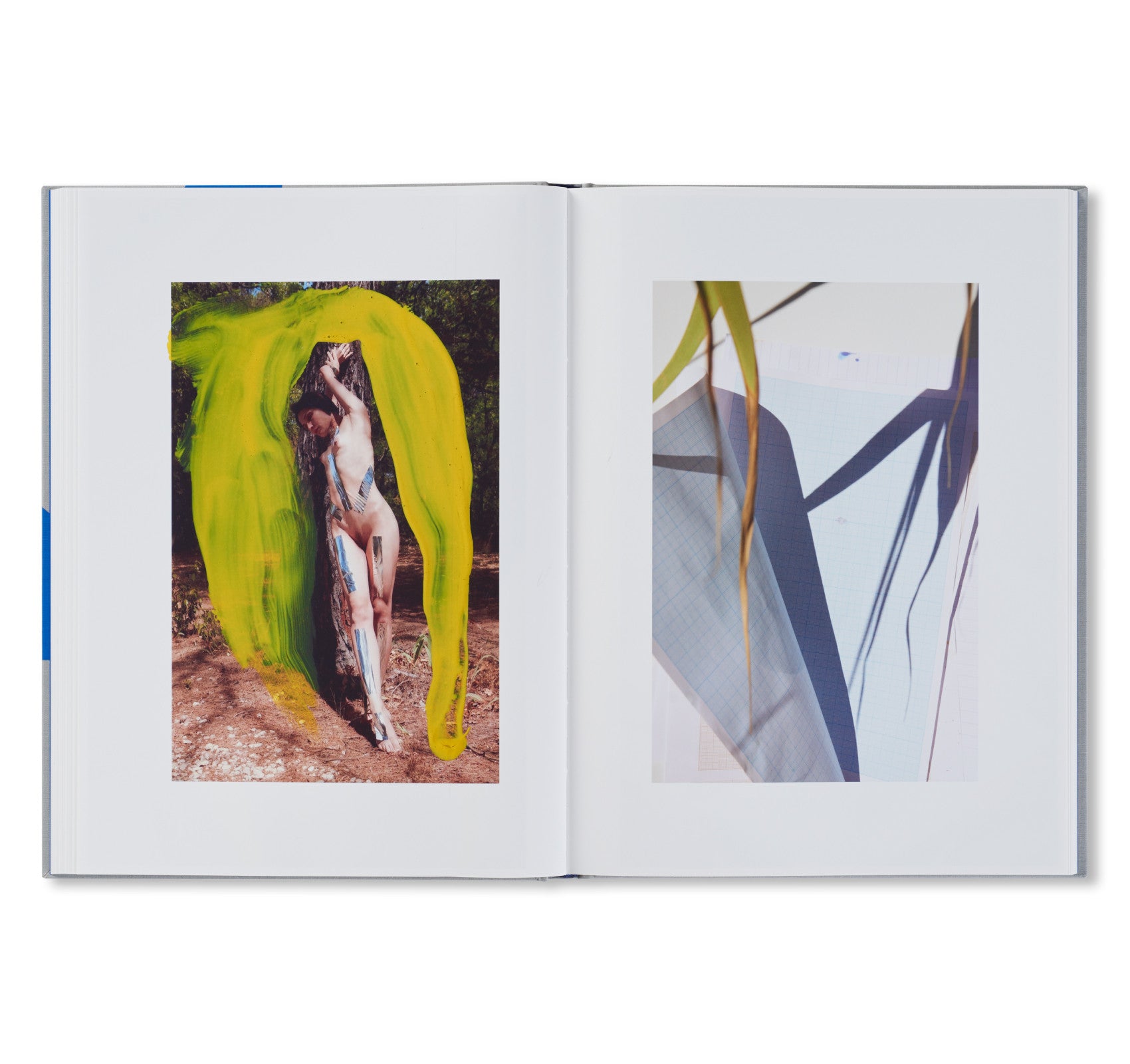 ROXANE II by Viviane Sassen [FIRST EDITION] – twelvebooks