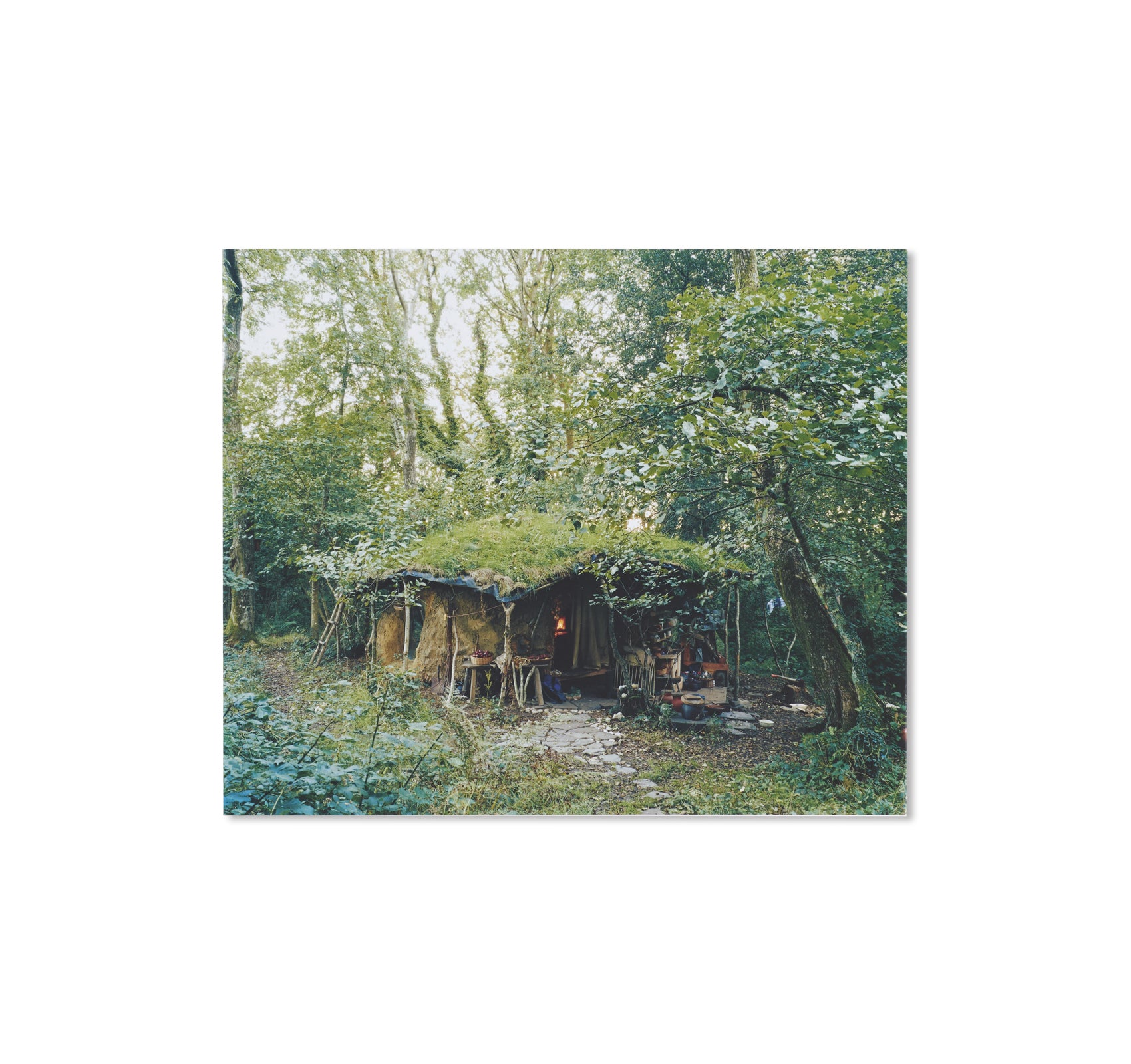 SETTLEMENTS by David Spero – twelvebooks