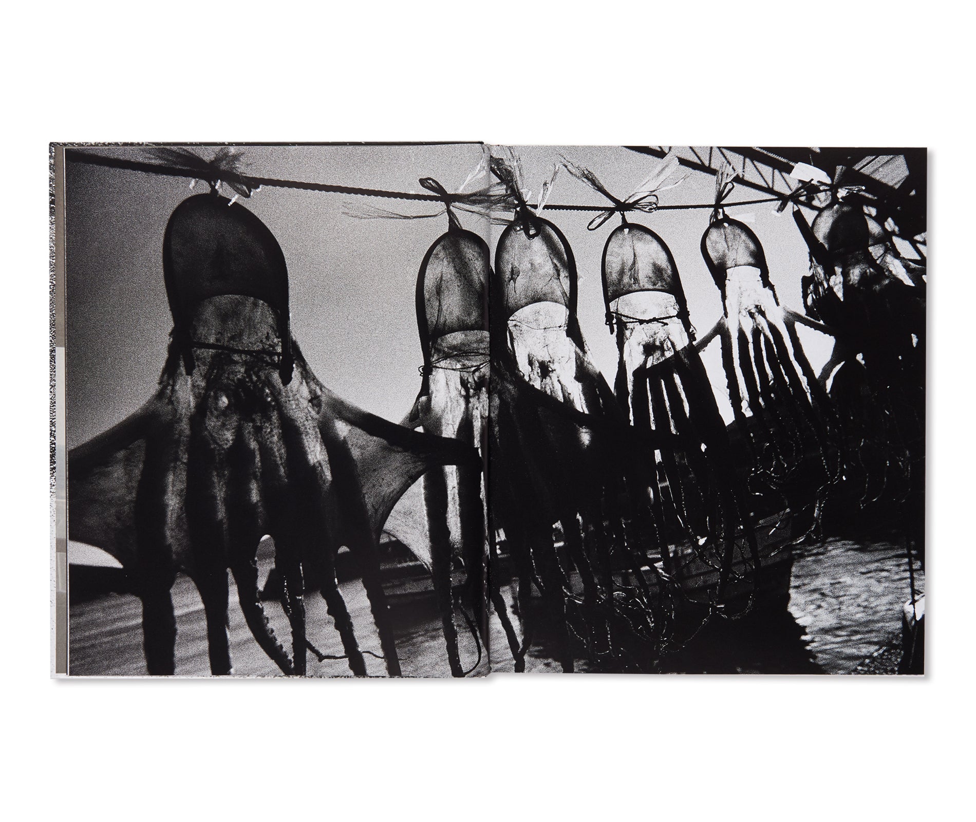 A DIARY - HASSELBLAD AWARD 2019 by Daido Moriyama – twelvebooks