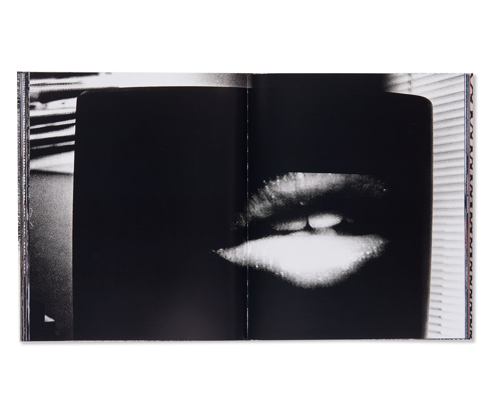 A DIARY - HASSELBLAD AWARD 2019 by Daido Moriyama – twelvebooks