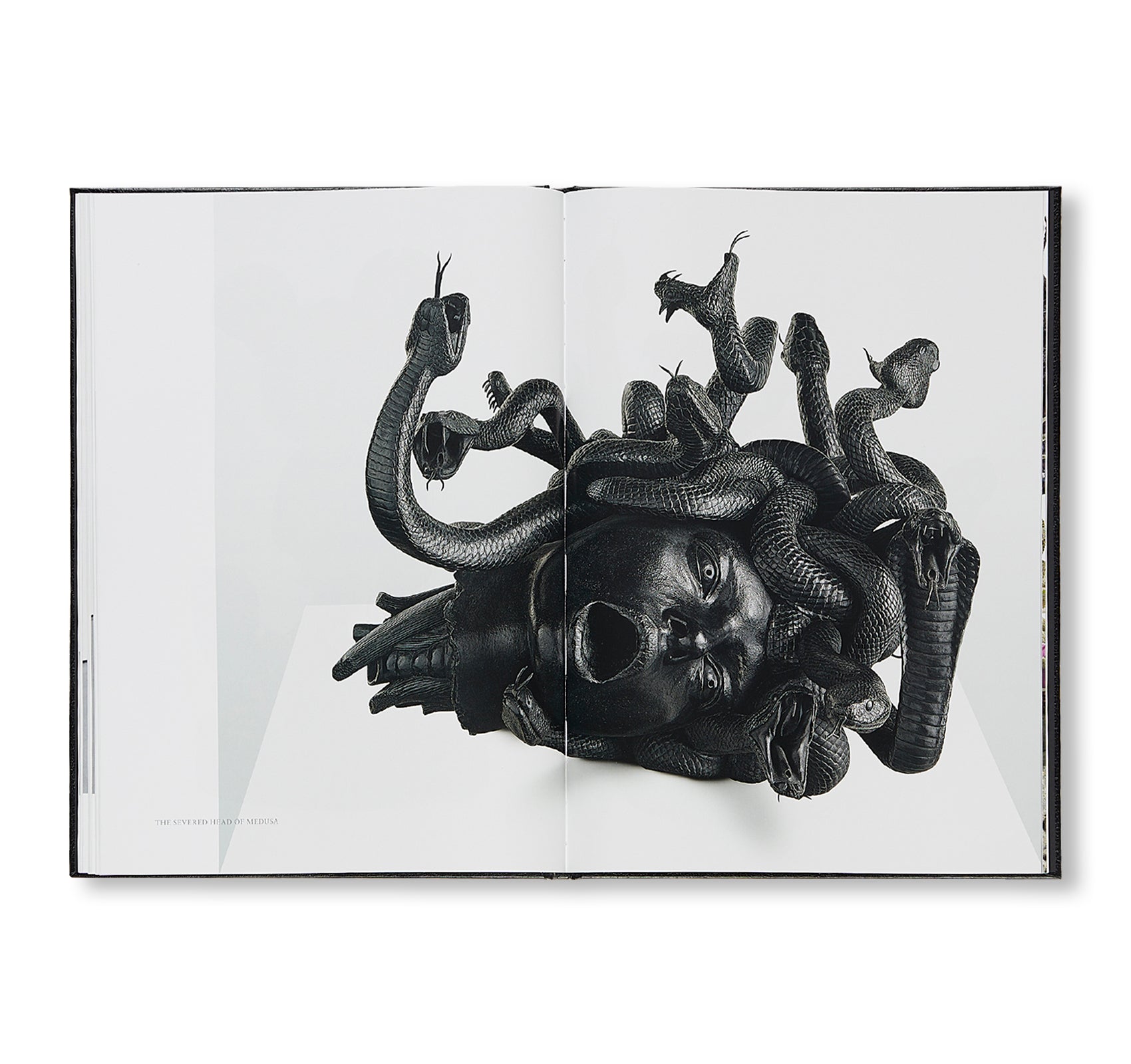 HIS OWN WORST ENEMY by Damien Hirst – twelvebooks