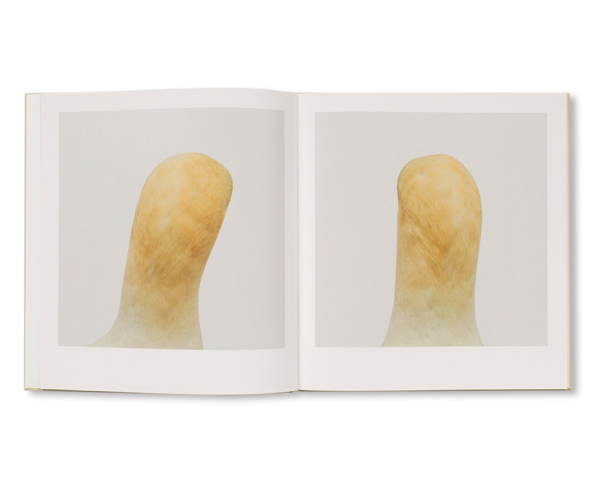 BIRD by Roni Horn – twelvebooks