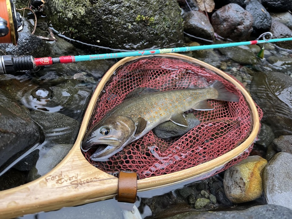 TULALA ツララ トリュテ ソルシエ 52UL TRUITE Sorcier ツララ(TULALA