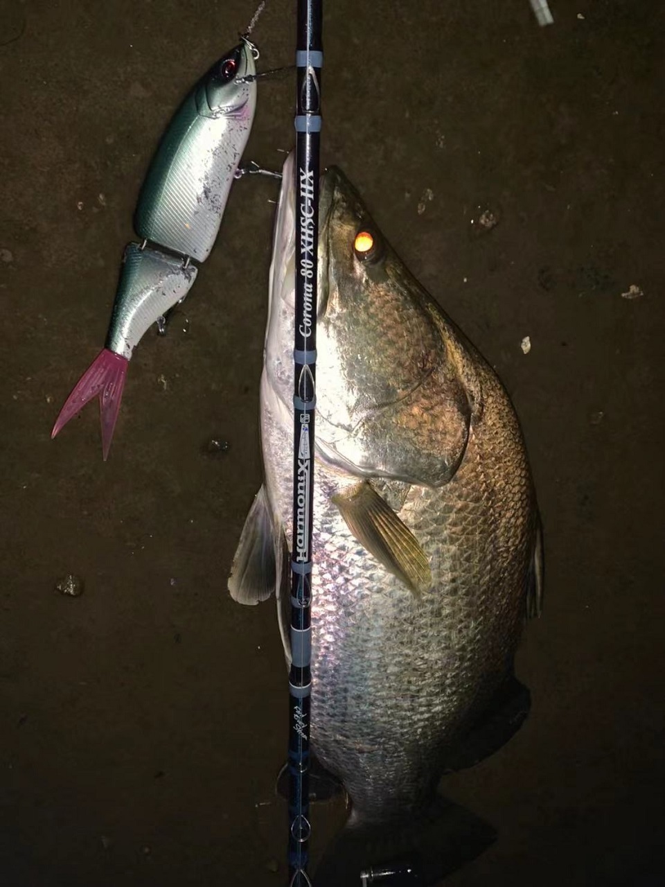 TULALA | Ford every stream | » Corona 80 XHSC-HX