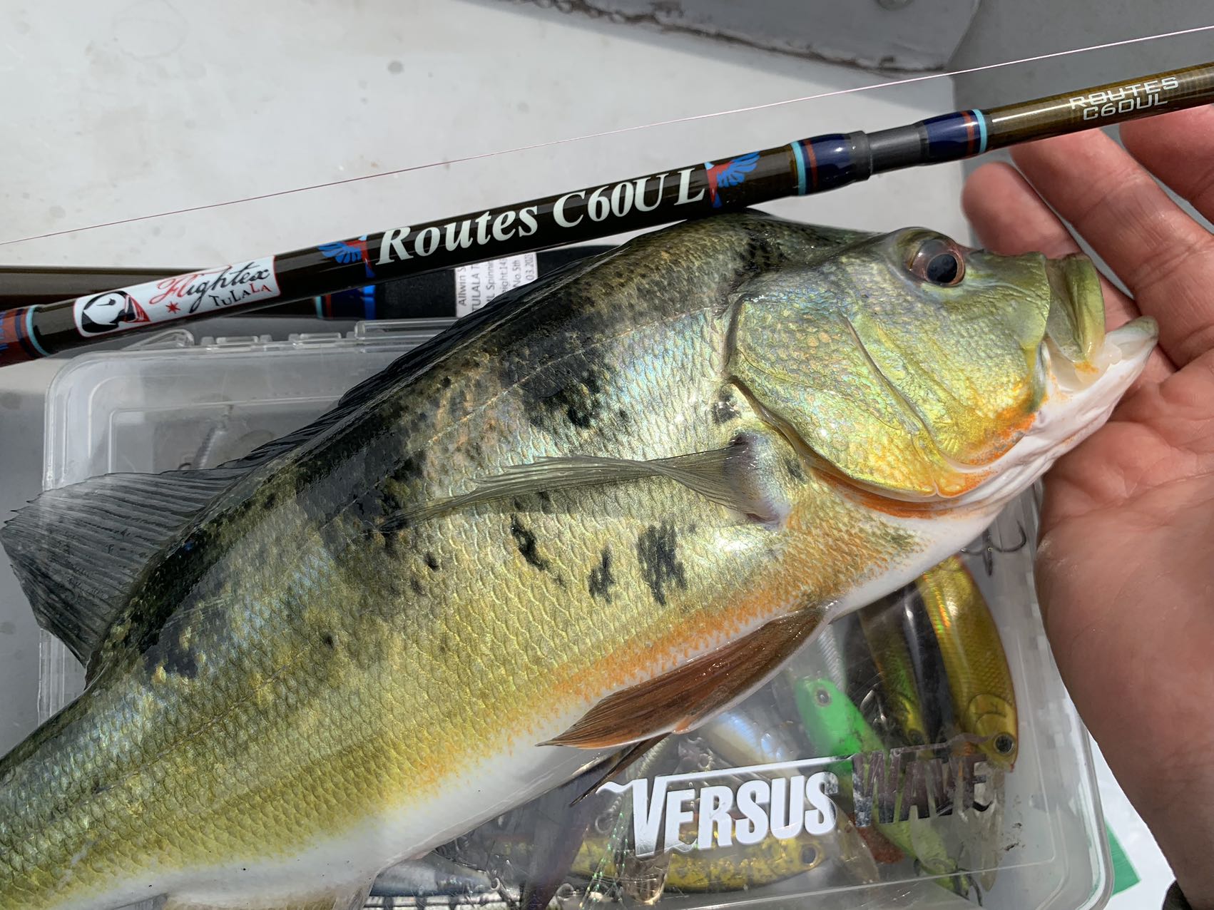 TULALA | Ford every stream | » Routes C60UL