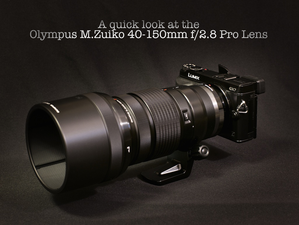 Olympus 40-150mm f/2.8 Pro Lens, User Review | Tyson Robichaud