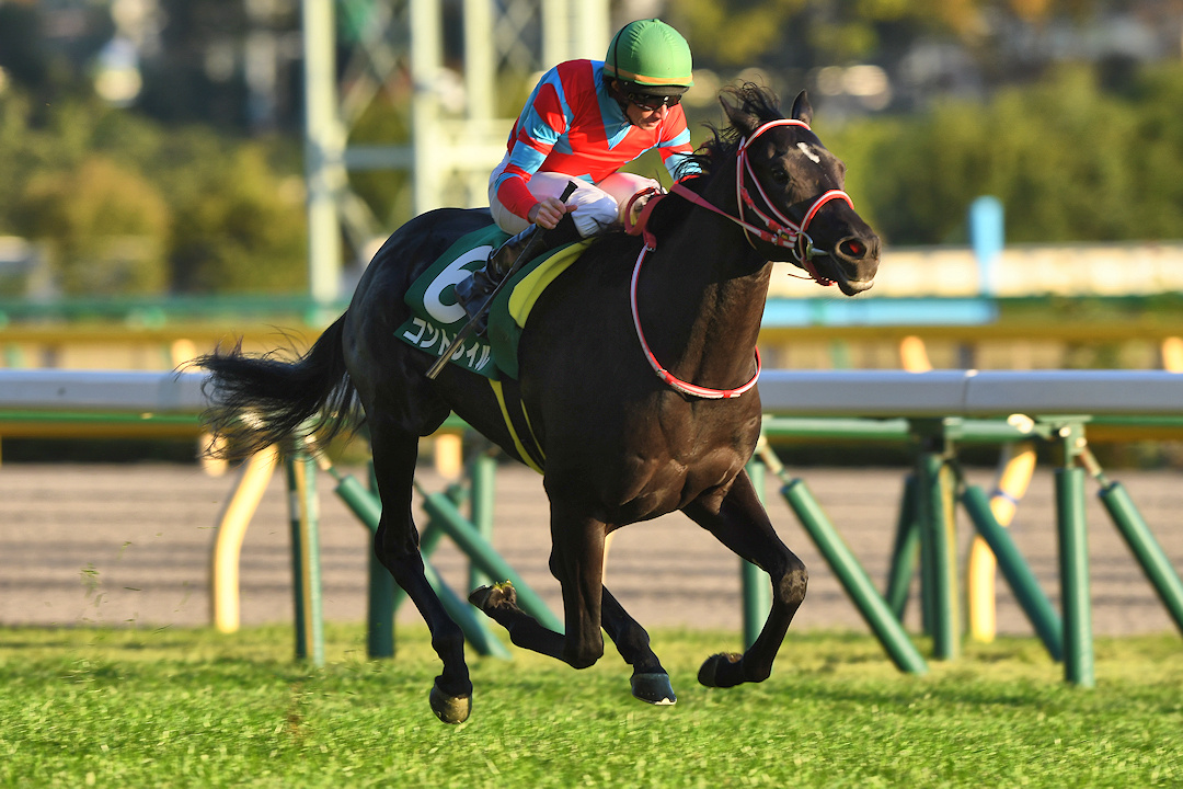 今日のこのレースを現地で観た、ということはこの先、きっと自慢できる