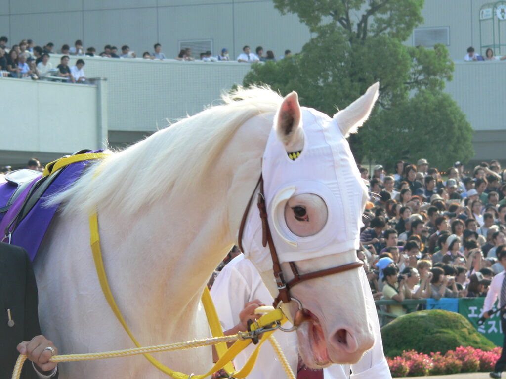 アイドル性と実力の掛け算。思い出の白毛馬、ユキチャン | ウマフリ