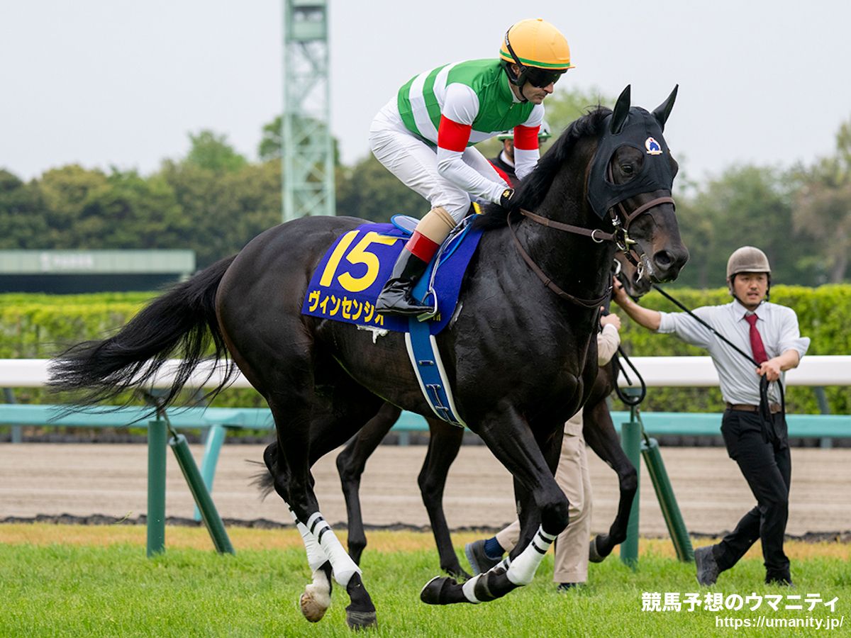 レパードS2025】伊吹雅也のピックアップ競馬データ～特選重賞データ