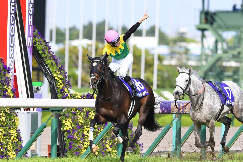 天皇賞・春】タイトルホルダーが7馬身差で圧逃！｜競馬ニュース｜競馬