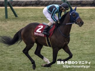 福島記念】パンサラッサが大逃げ決めて重賞初制覇！｜競馬ニュース