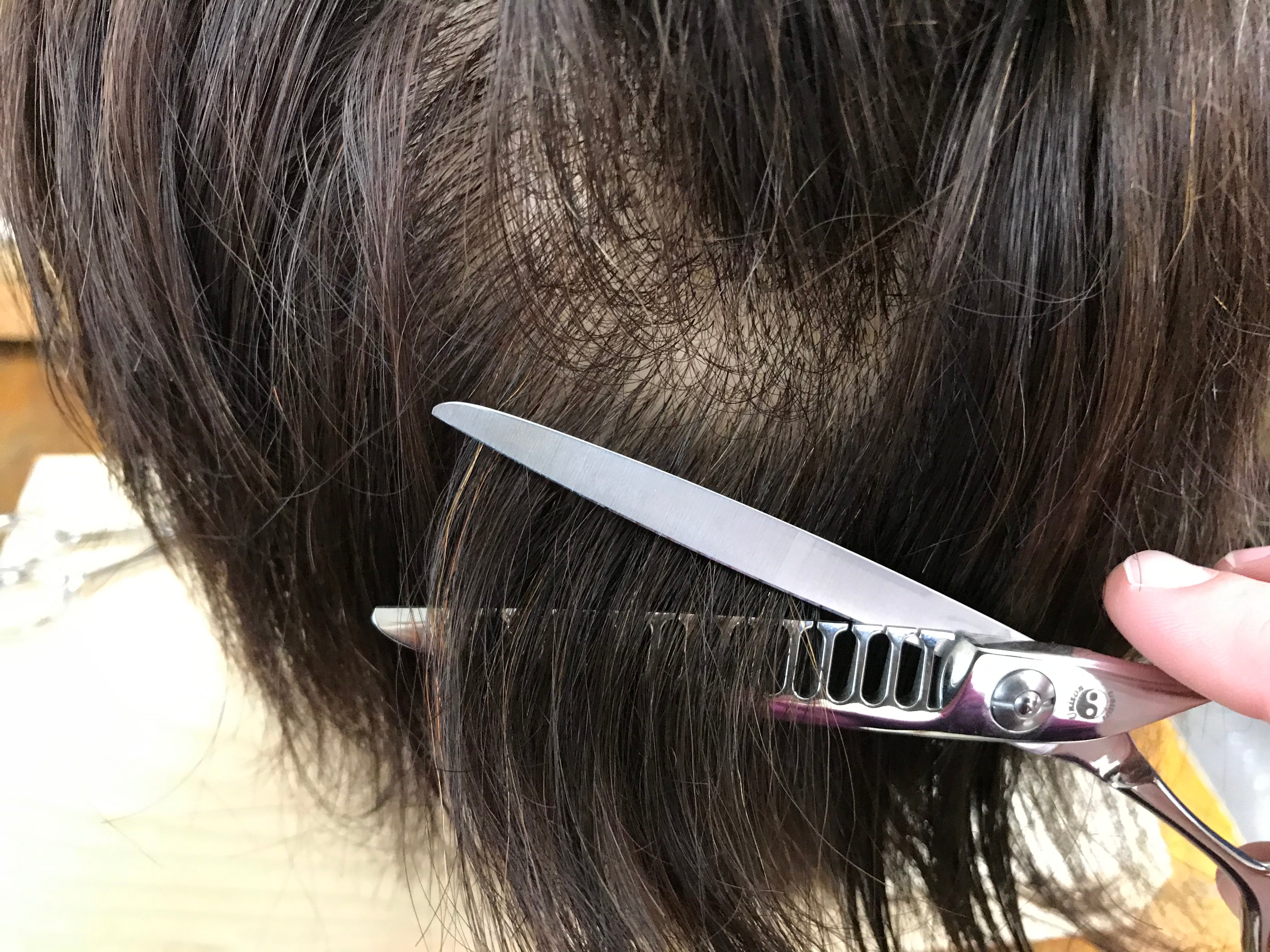 スキ鋏 S6014 サボテン – Unison Scissors