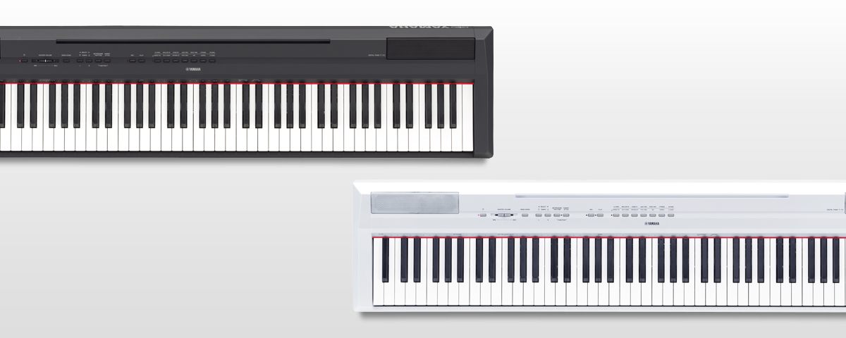 P-115 - Overview - Portables - Pianos - Musical Instruments