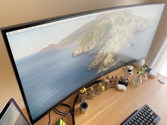 レビュー／曲面ウルトラワイドモニター・LG製35WN75C-Bで生産性が大