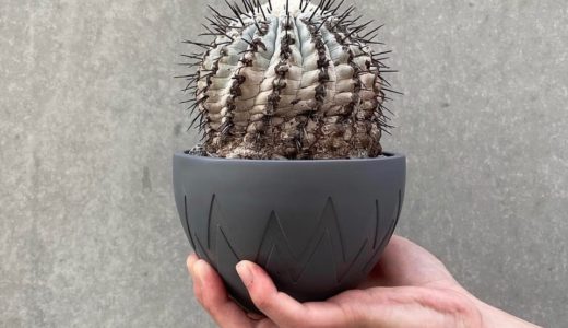 911B5741-D9FD-46CC-9308-