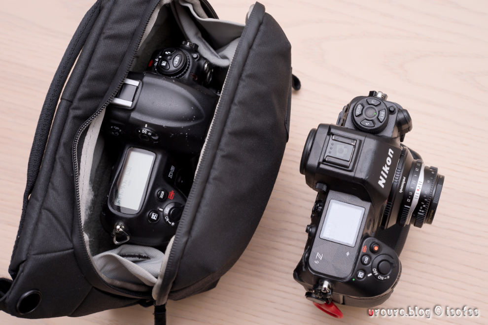 古のNikon D3 と最新 Z9 を1ヶ月持ち歩いてみた一日一撮・博多うろうろ